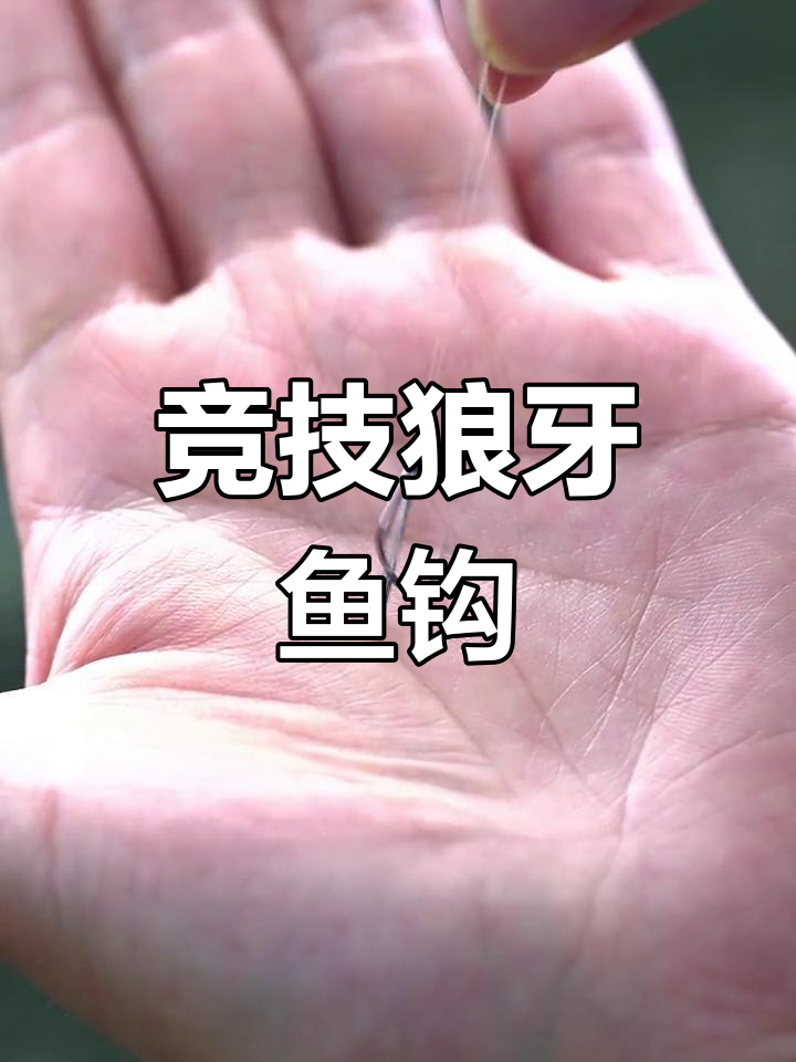竞技狼牙鱼钩,专钓老滑鱼、回锅鱼,中鱼率大幅提升