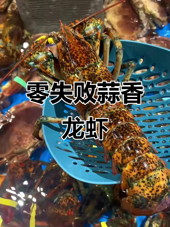 蒜蓉粉丝蒸波龙,简单又美味!