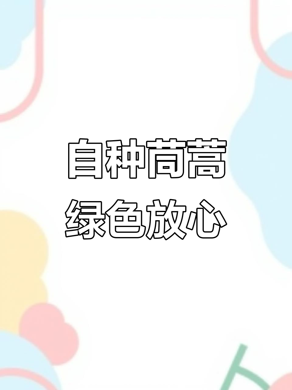家庭菜园:自种菊花菜的健康与美味