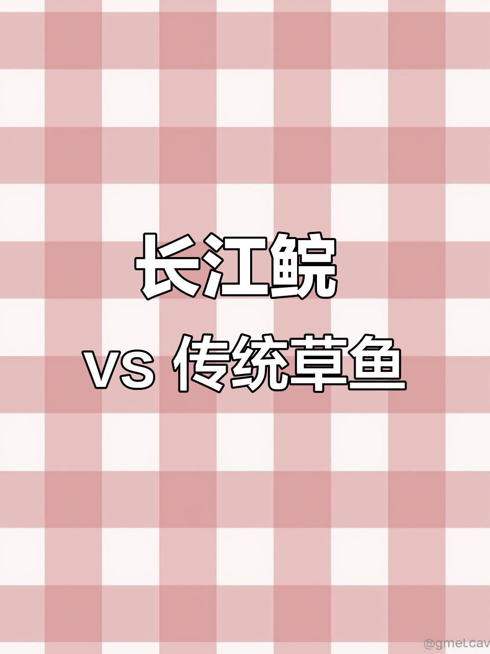 长江鲩鱼与草鱼的营养差异,哪种更适合你?