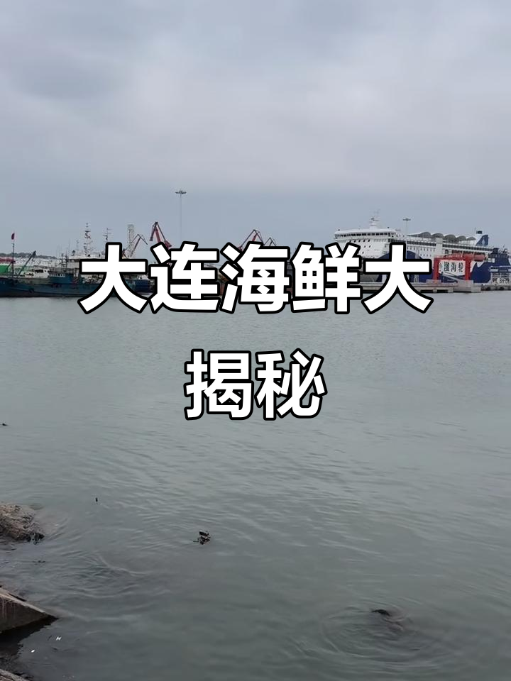 10月12日大连海鲜市场探秘:鱼厅鲜货,价格实惠!