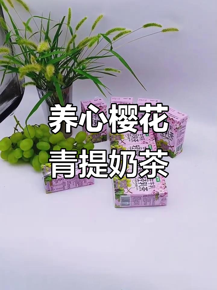 樱花青提与生牛乳的完美融合,清新奶茶带来秋日暖意
