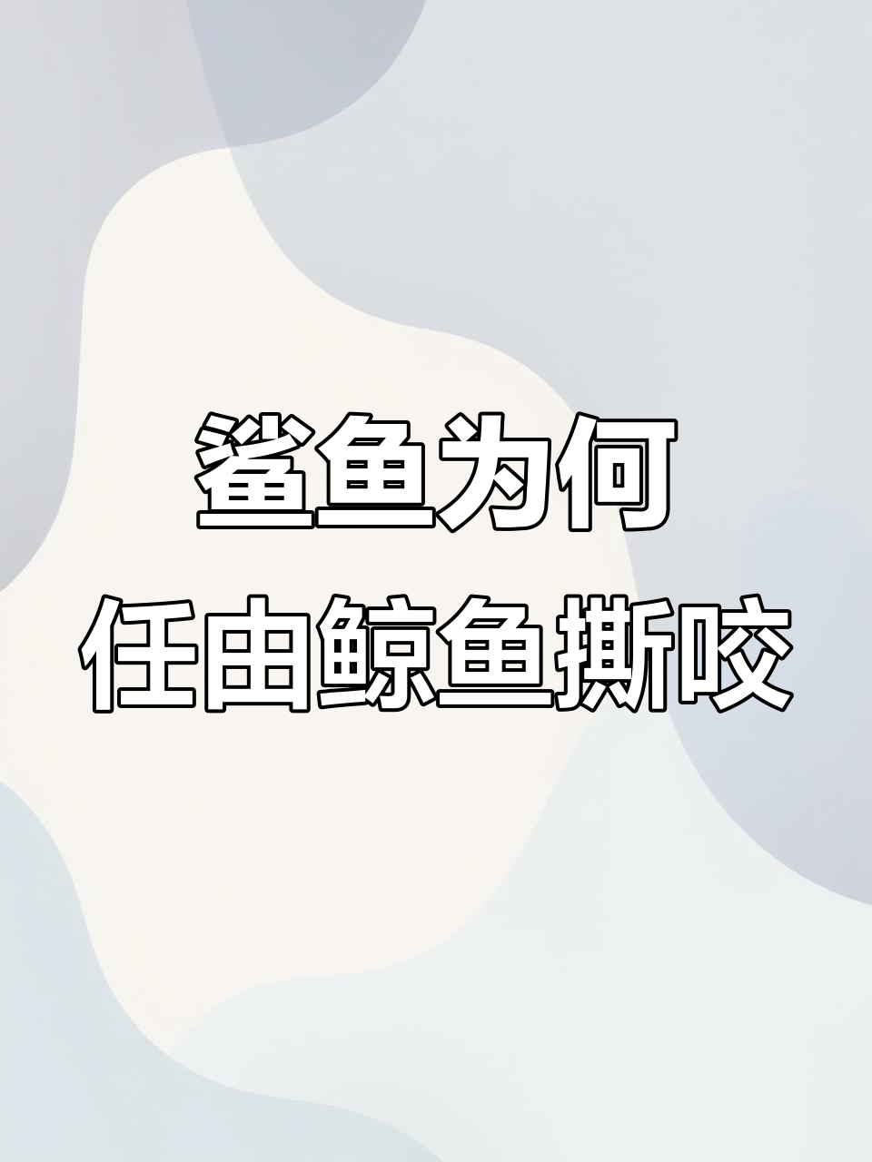 鲨鱼为何被鲸鱼咬住后不反击?揭秘背后的原因