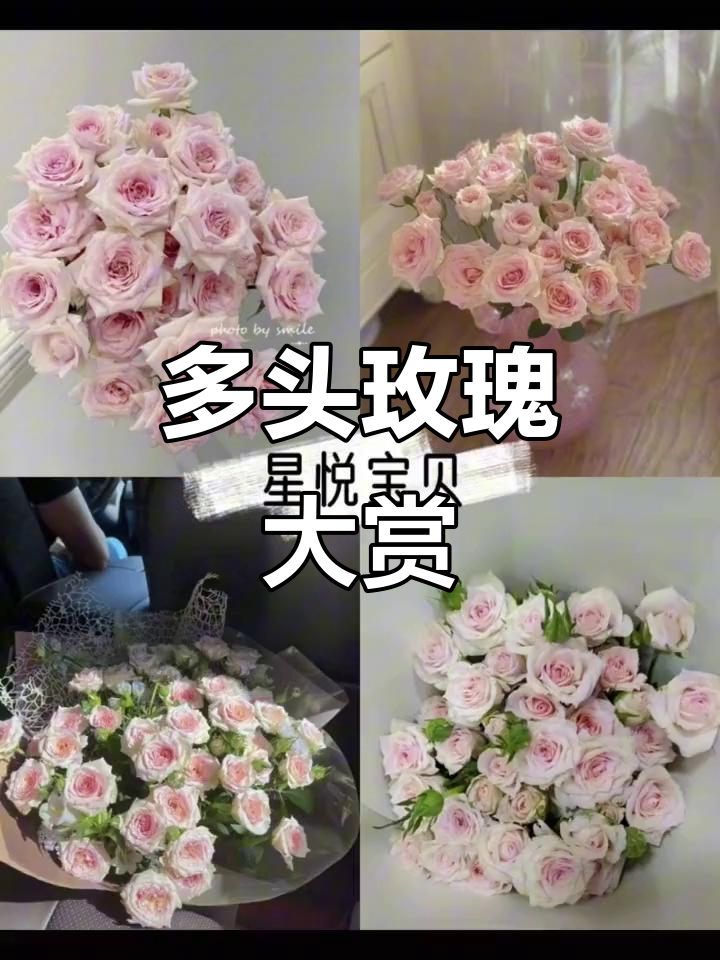 昆明斗南花卉市场:多头玫瑰系列,哪款最让你心动?