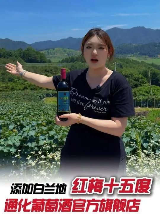 路边的山葡萄别乱采!红梅15度卖了73年,入口甜香够经典,冲