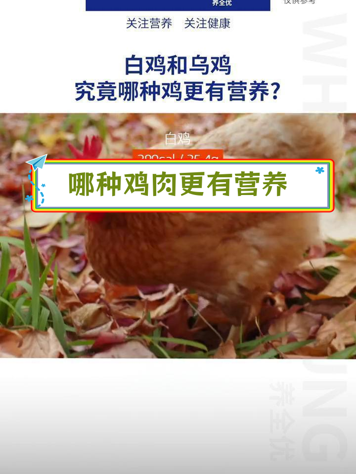 白鸡与乌鸡的营养差异分析