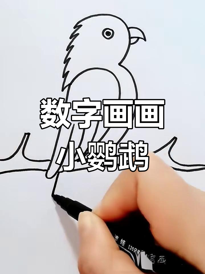 用数字123画可爱小鹦鹉,简单又好玩