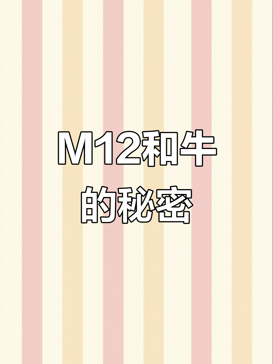 揭秘M12和牛肉的区别:雪花纹理与奶香口感