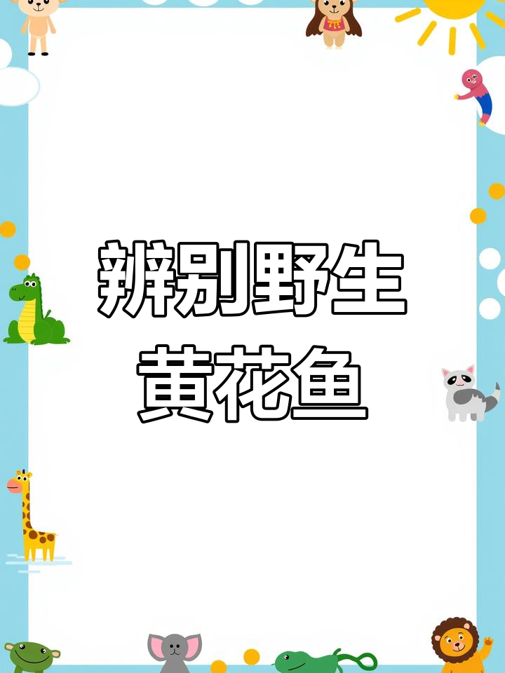如何辨别野生黄花鱼?三大技巧教你识别