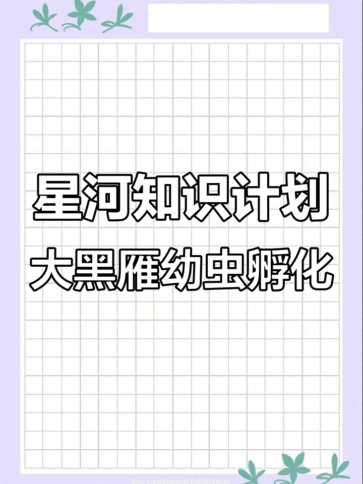 大黑艳锹甲卵孵化全过程,小肉虫破壳而出超萌