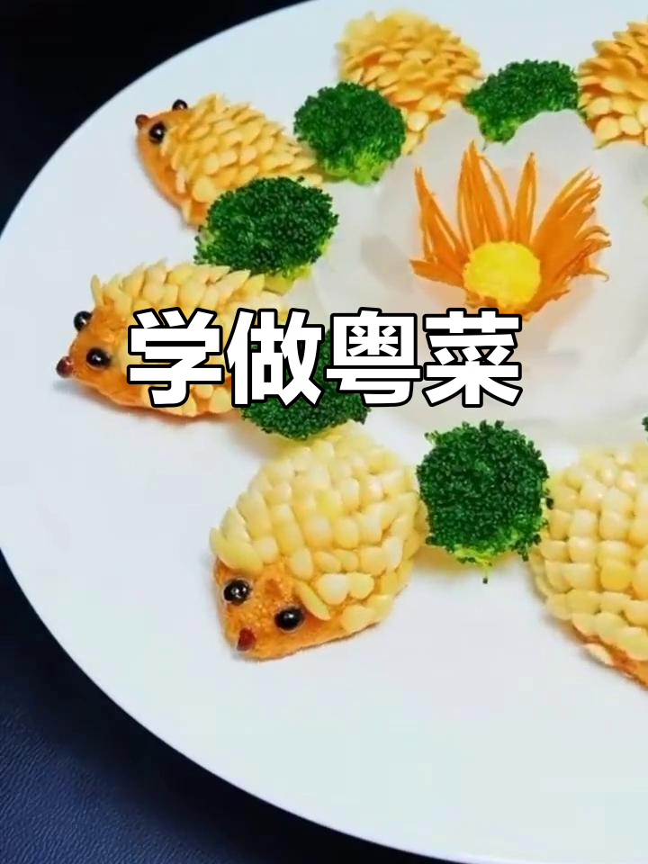 粤菜美食教程,轻松学做经典菜肴