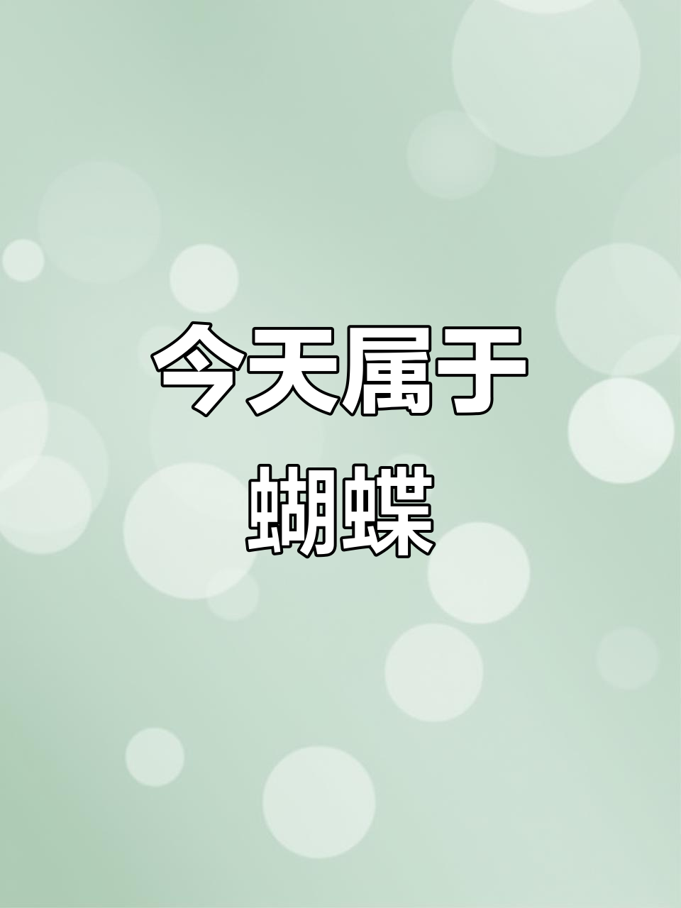 蝴蝶日,一起飞舞吧!
