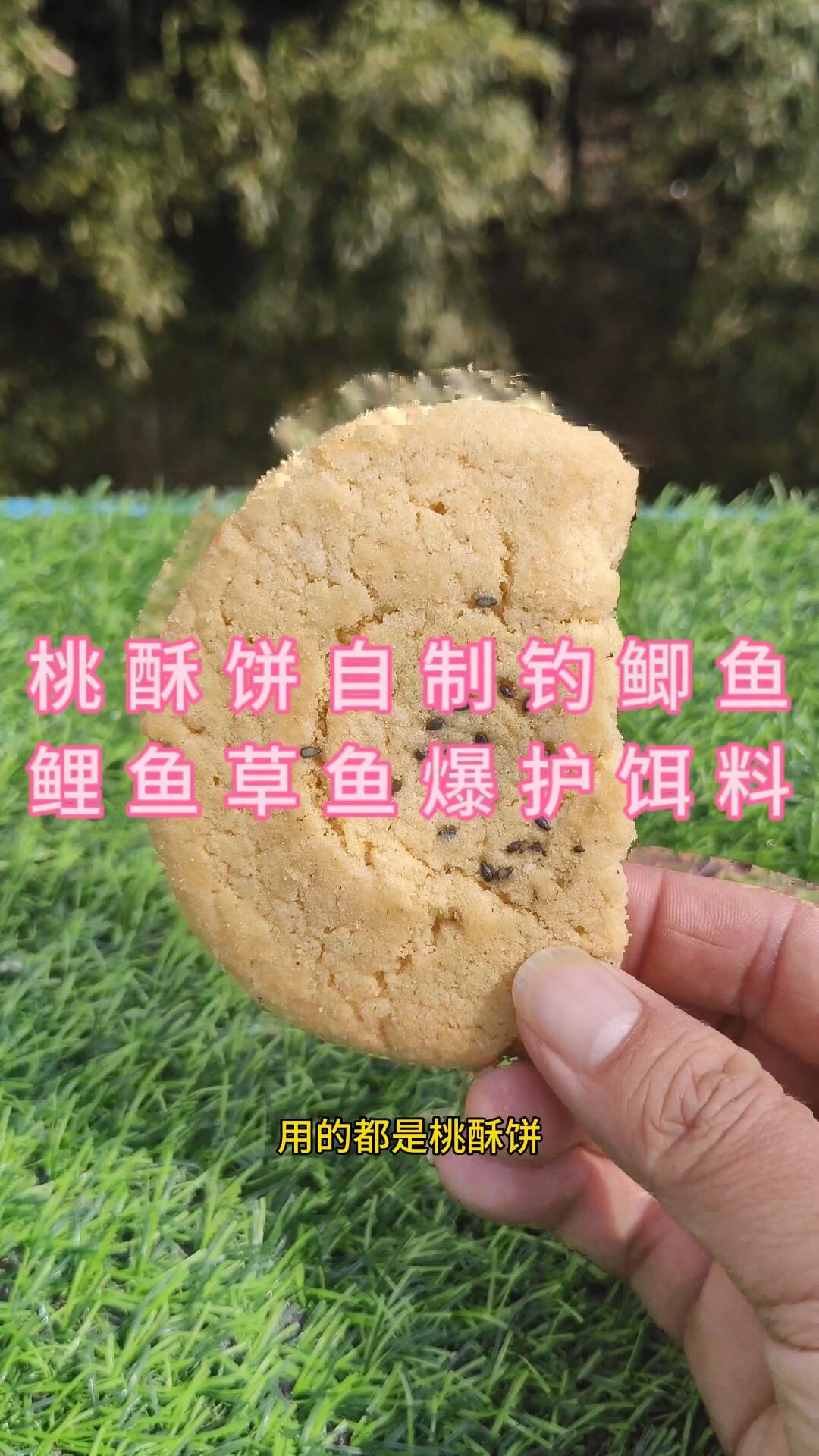 桃酥饼自制钓草鱼鲤鱼鲫鱼白条爆护饵料