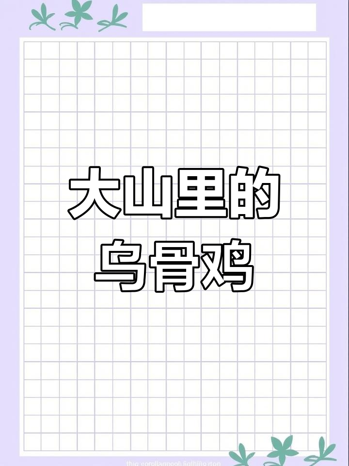雪峰乌骨鸡:大山深处的原生态美味,黑蛋、针灸机都超适合
