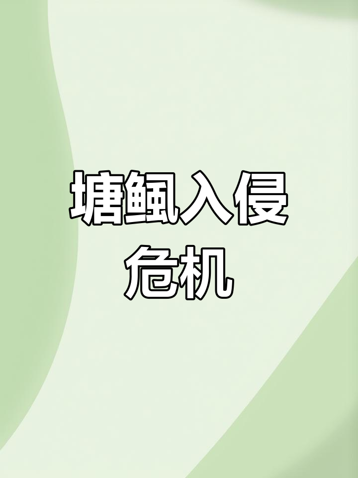 埃及塘鲺泛滥,黄河危机,为何没人敢吃?