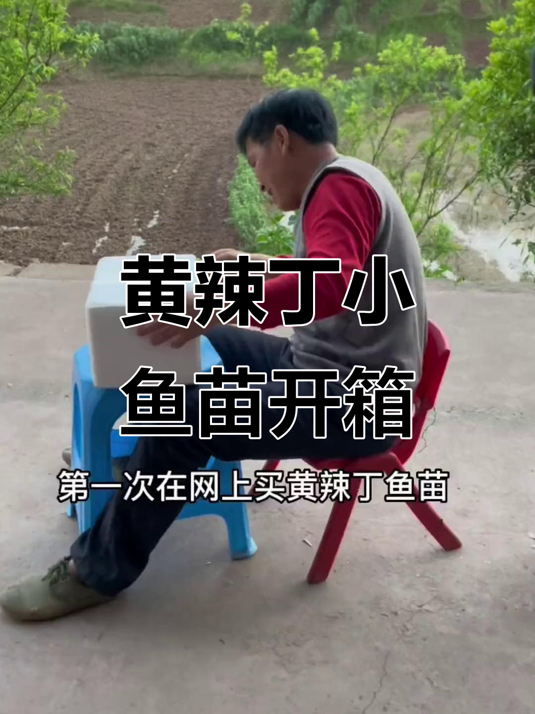 网上买黄辣丁鱼苗,开箱惊喜连连!