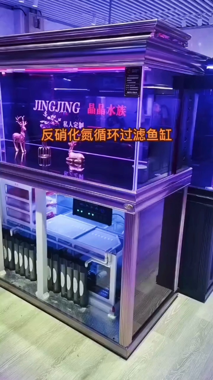鱼缸过滤棉的清洗和更换频率