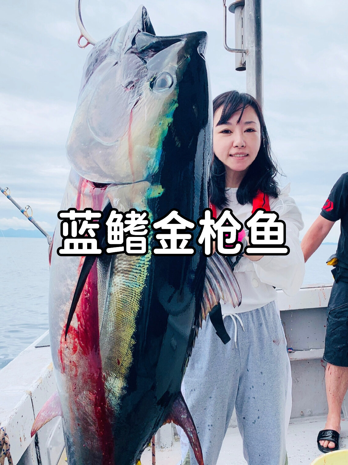 钓日本最贵的鱼〈蓝鳍金枪鱼〉