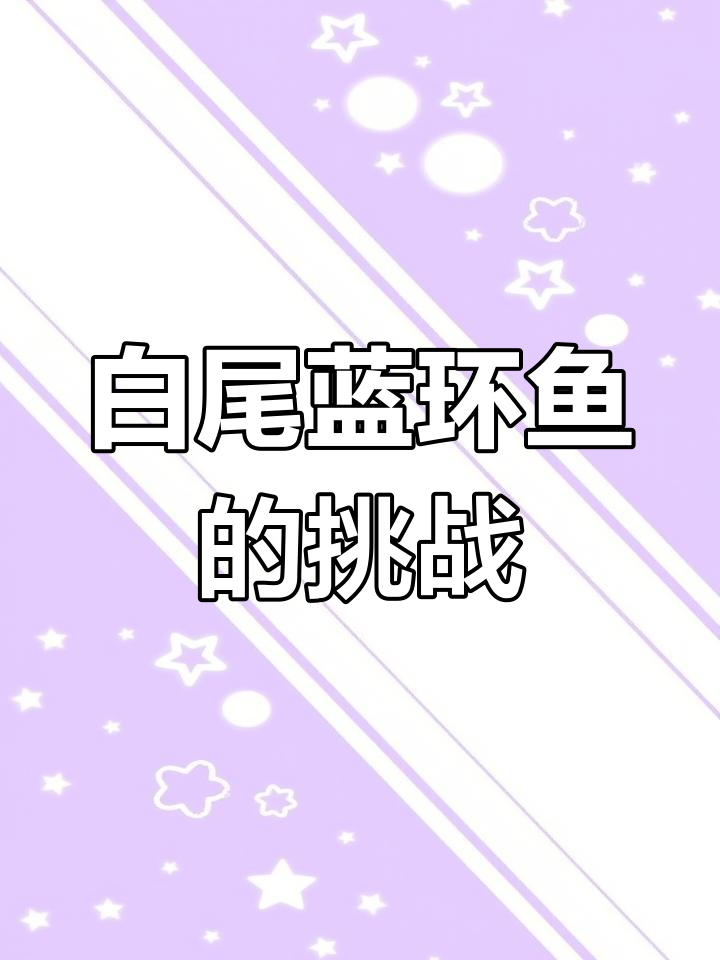 海缸中的白尾蓝环鱼,生存不易