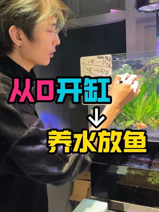 新手养鱼开缸全过程 入门零基础开缸教学,一步步跟着做。听话照做必有收获!