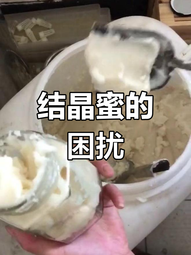 菜花蜜结晶后,装瓶真是个大挑战!