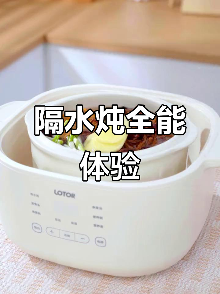 小浣熊隔水炖,功能强大,汤品、肉燕窝轻松搞定!