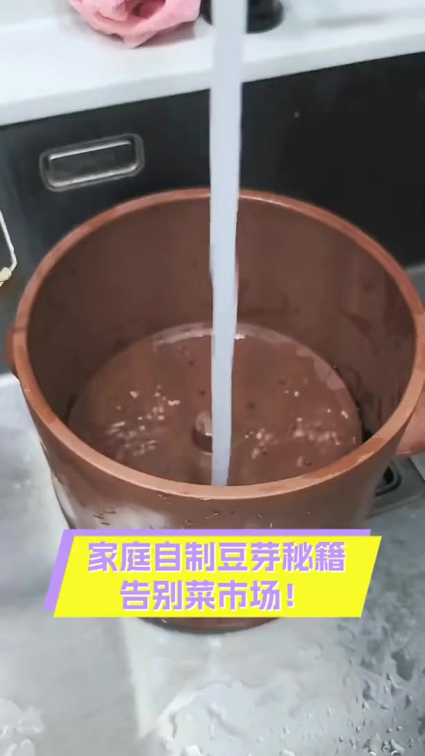 家庭自制豆芽秘籍,告别菜市场!