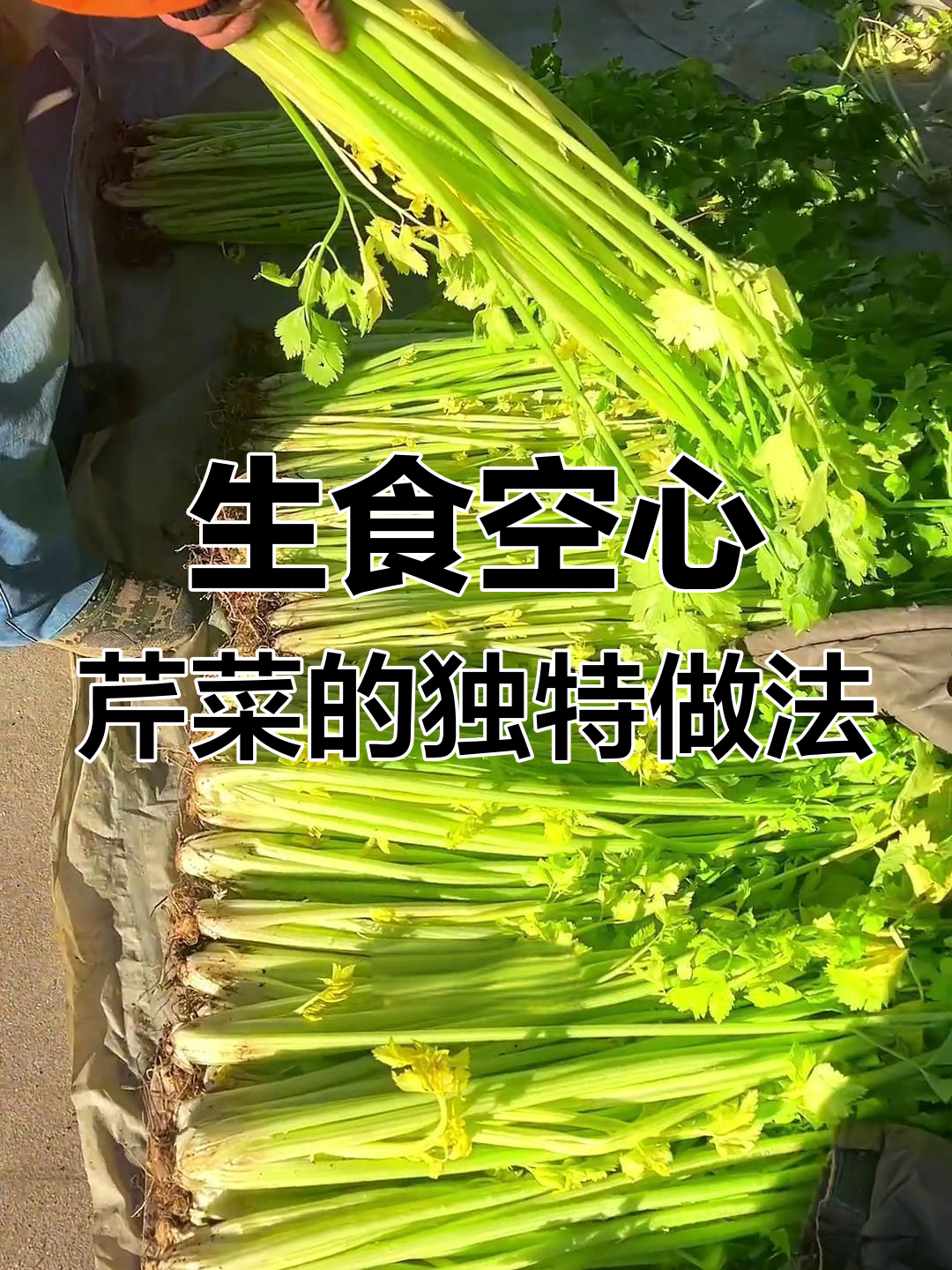 空心芹菜凉拌生吃,脆嫩口感让人停不下来