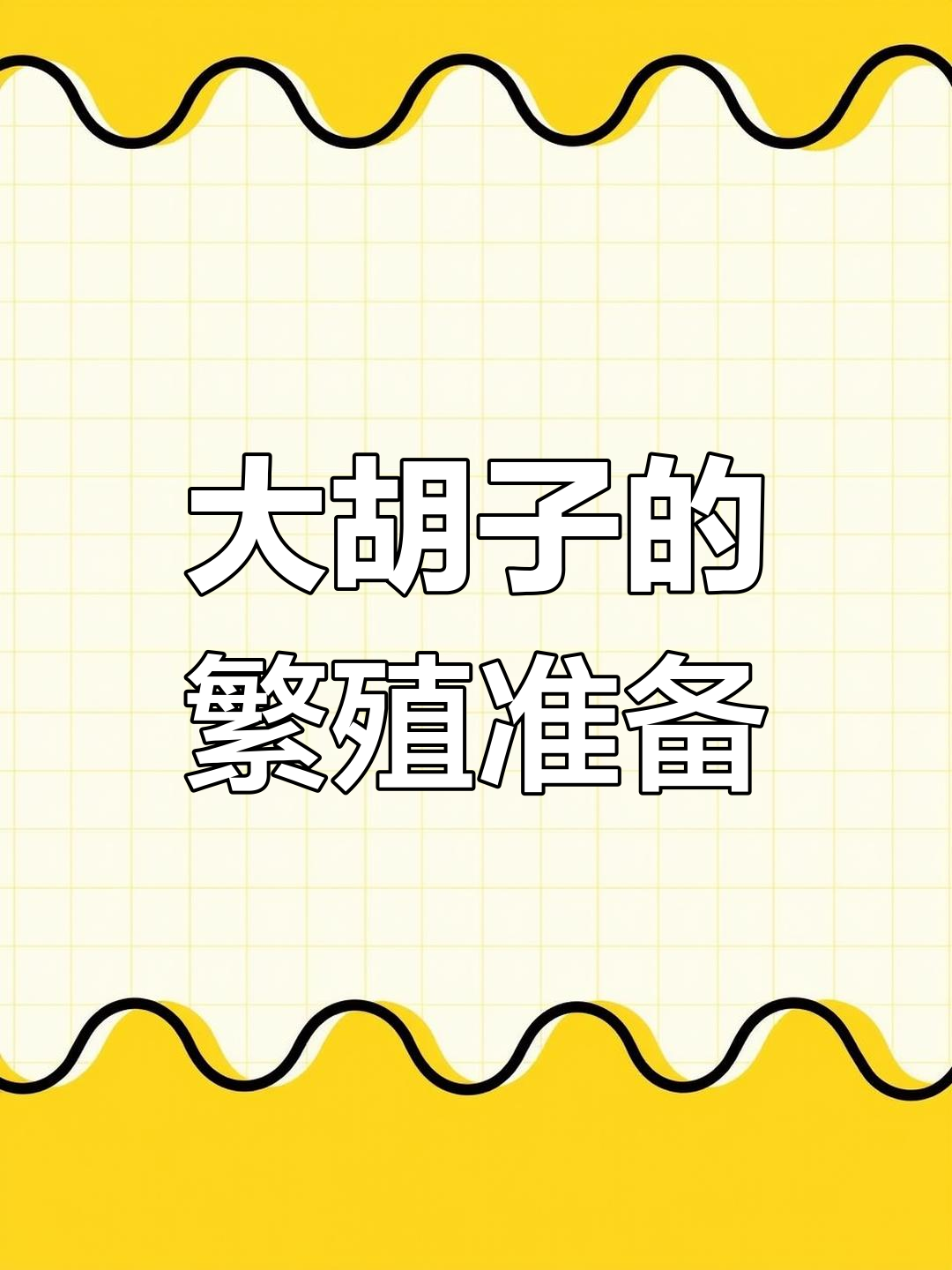 黄金大胡子繁殖技巧:如何提高孵化率,减少白卵