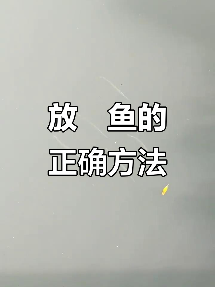 鱵鱼:从这里放进去,就能轻松搞定!