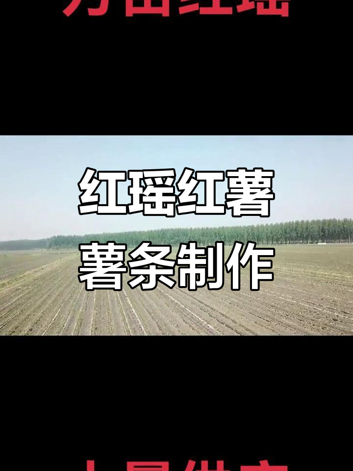 红瑶红薯原生态实拍,薯条制作全过程大揭秘