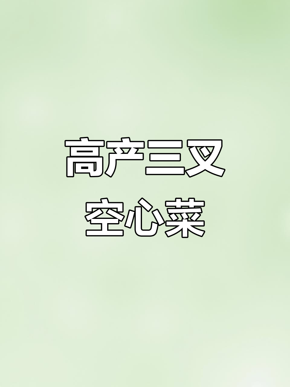三叉空心菜,一次种植多次收割,产量惊人