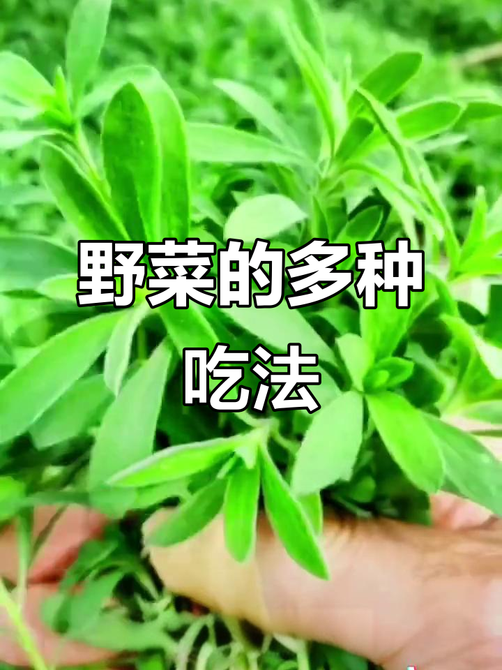 野菜做法大揭秘,你家乡怎么吃?