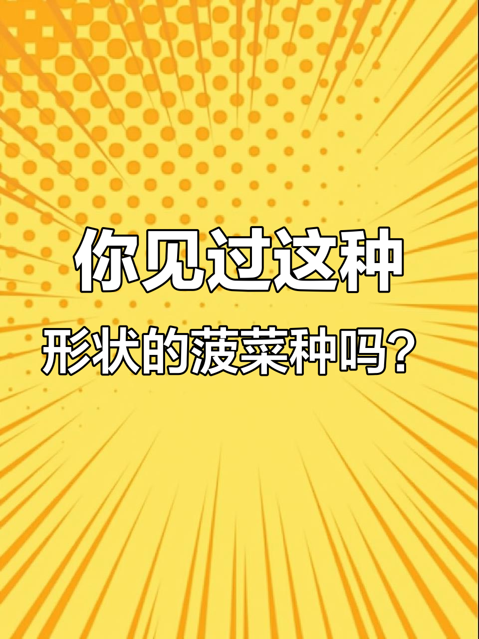 原来菠菜种子长这样,尖刺带脚太有趣了!