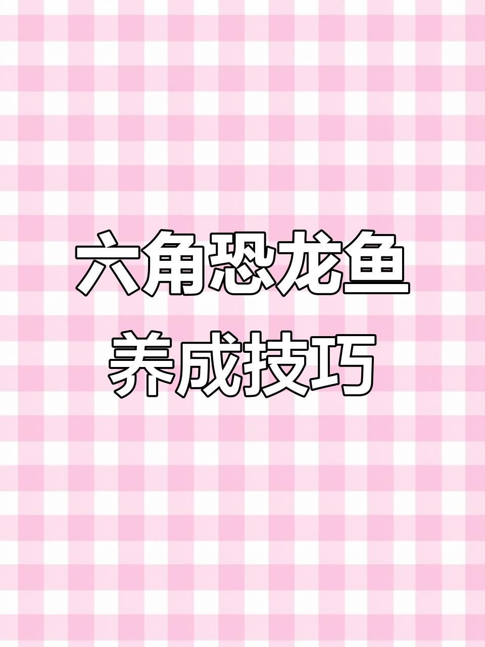 六角恐龙鱼养殖全攻略:从准备到清理便便