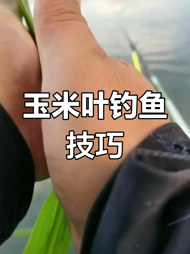 玉米叶钓大草鱼,轻松搞定!