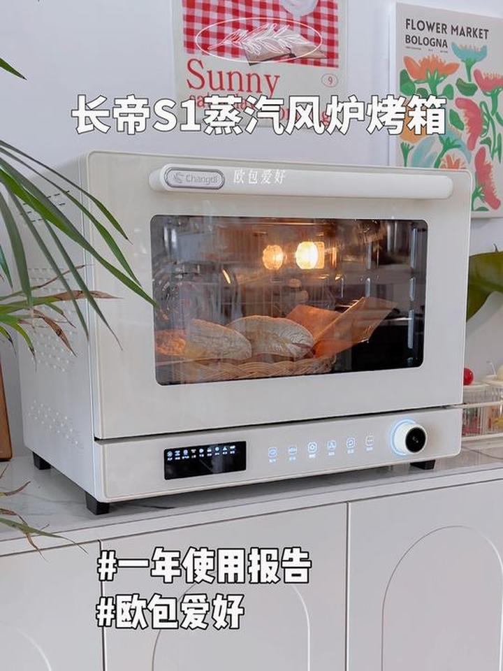 长帝S1蒸汽风炉烤箱可以入手吗？
