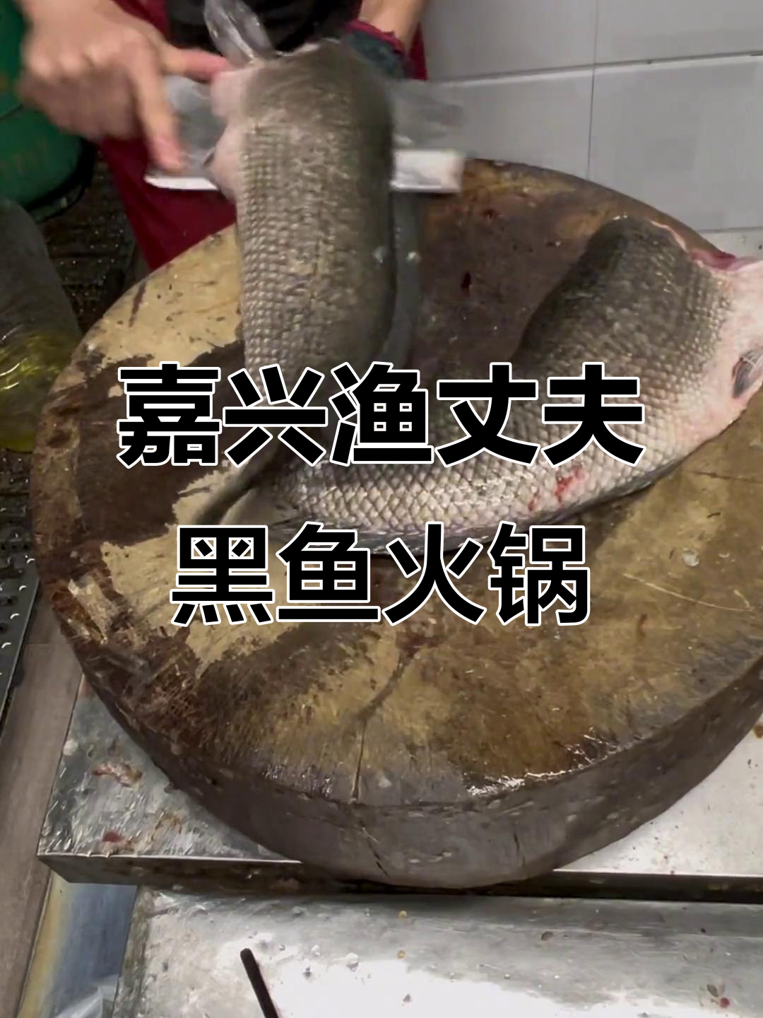 黑鱼火锅的独特做法,口感鲜美又入味