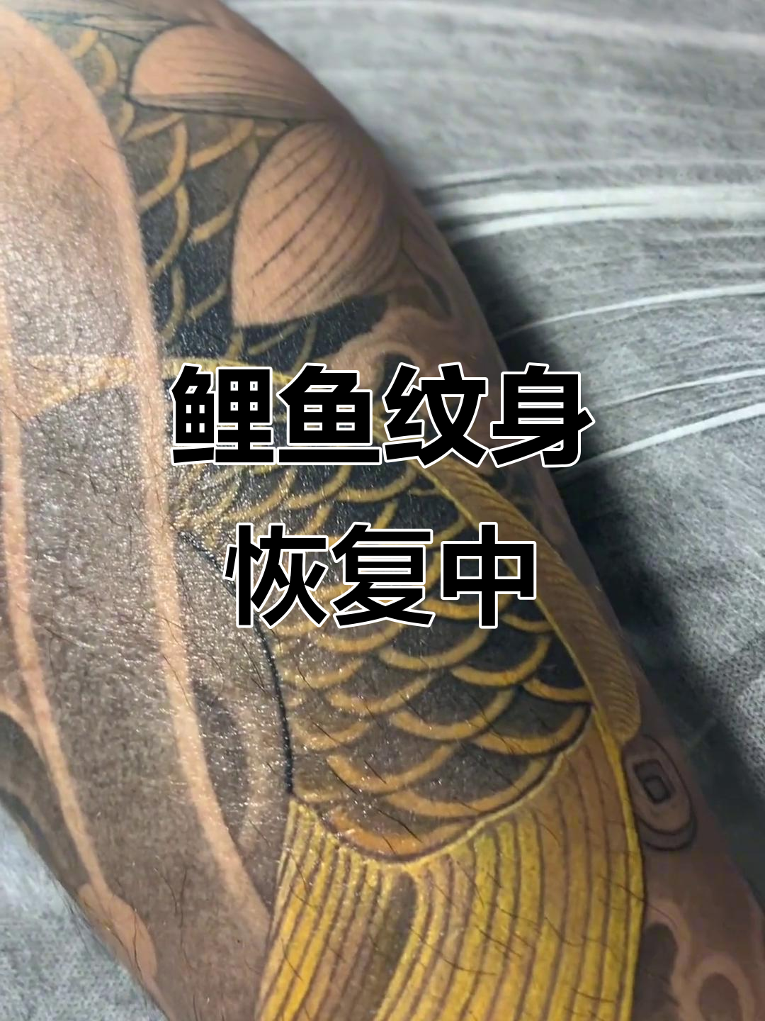 黑金鲤鱼纹身恢复，红金鲤鱼还需努力