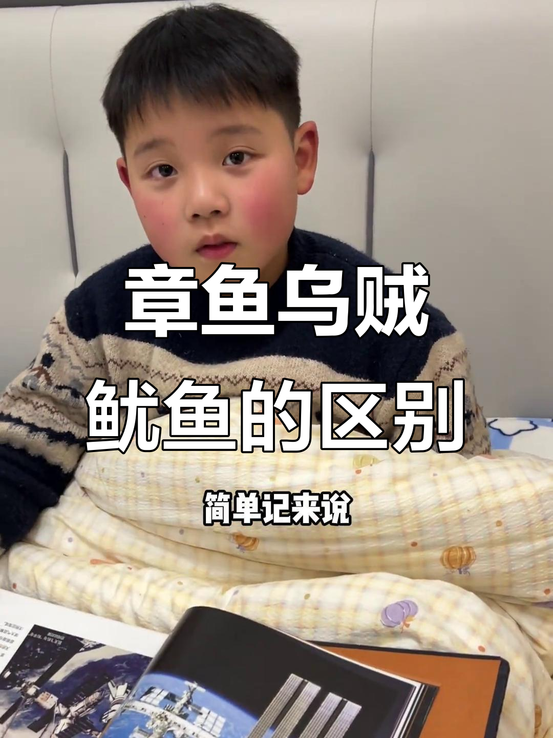 章鱼、乌贼和鱿鱼的三大区别,轻松分辨!