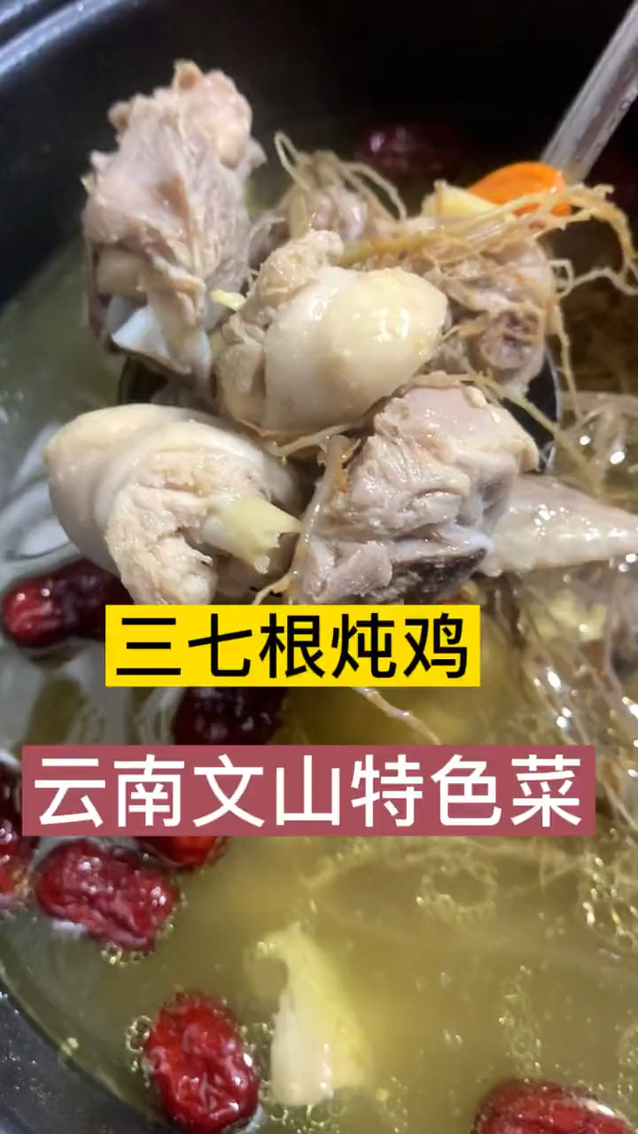 这样用三七根炖鸡太美味了