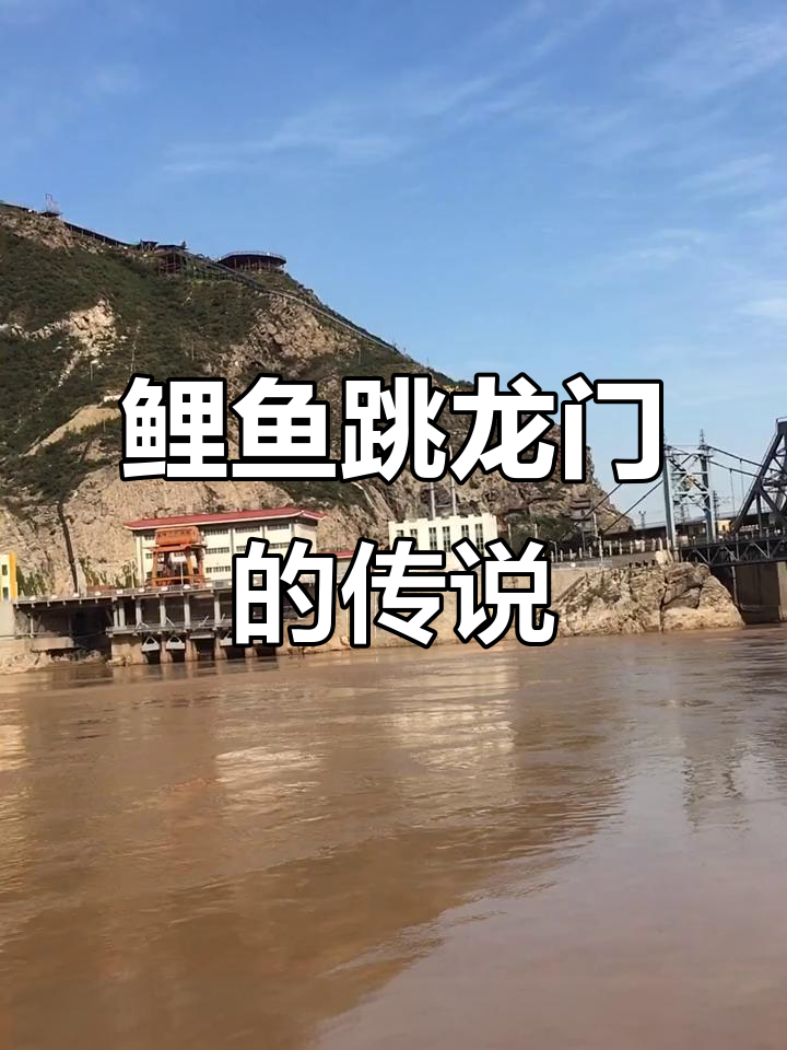 黄河鲤鱼跃龙门，李白诗篇中的壮丽景象