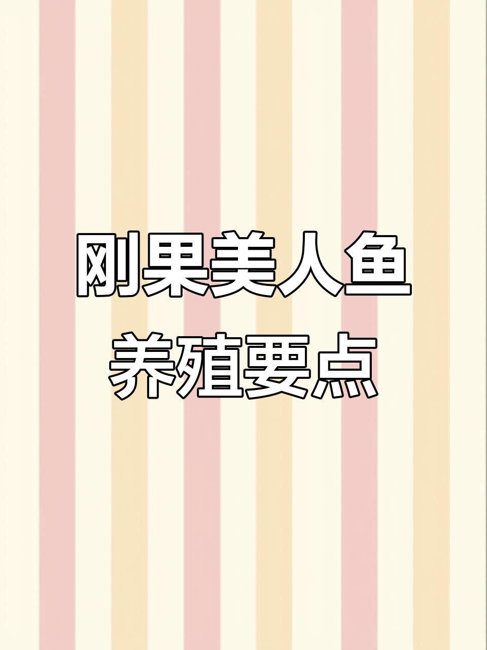 刚果美人鱼饲养全攻略:水质、温度与混养技巧
