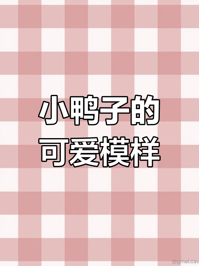 清晨小河里的鸭子群