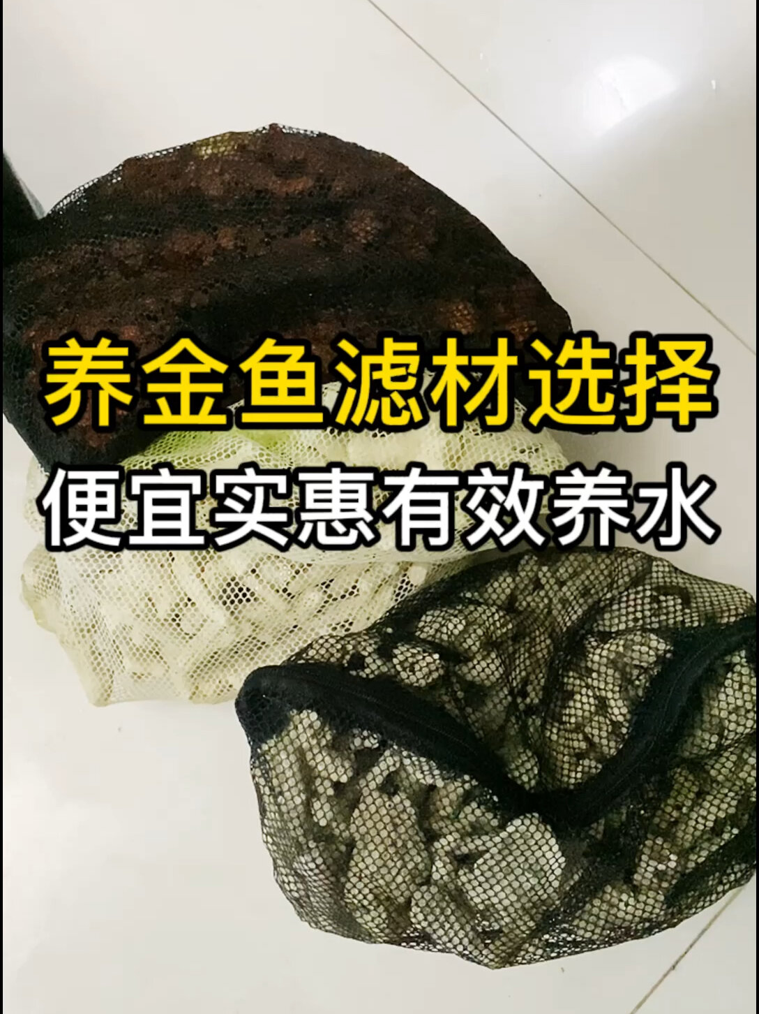 养金鱼滤材怎么选?这三种滤材便宜有效养水