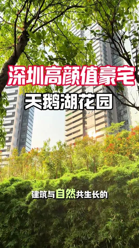 城市豪宅的桃花源 天鹅湖花园 深圳豪宅界颜值天花板。自然与建筑完美融合,天鹅湖花园。345