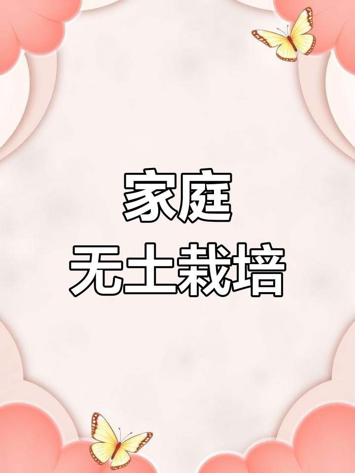 在家轻松种蔬菜,油葵种植全攻略