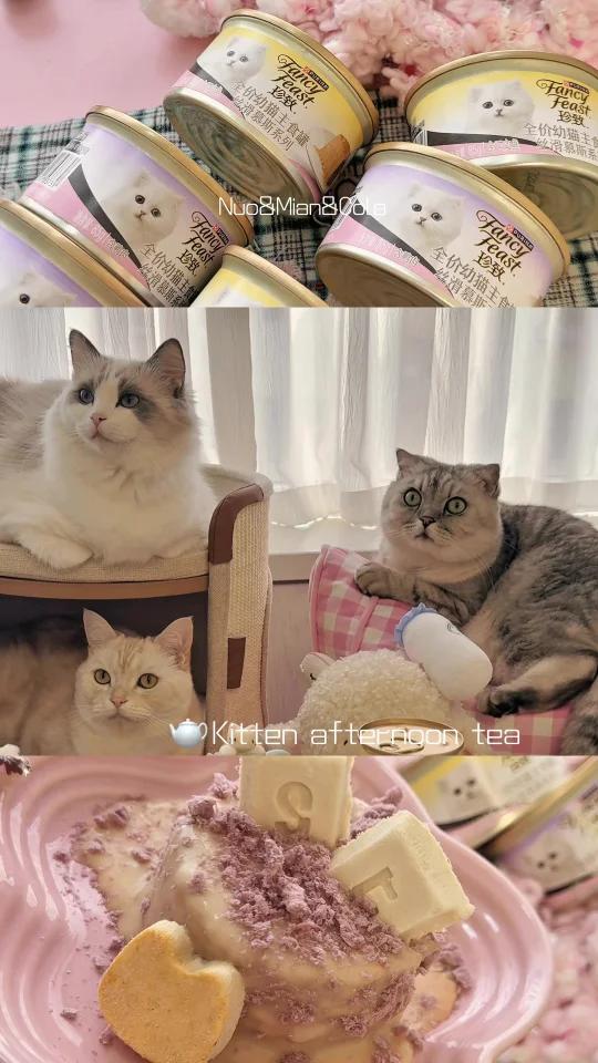 小猫周末鹅肝酱下午茶|治愈time~