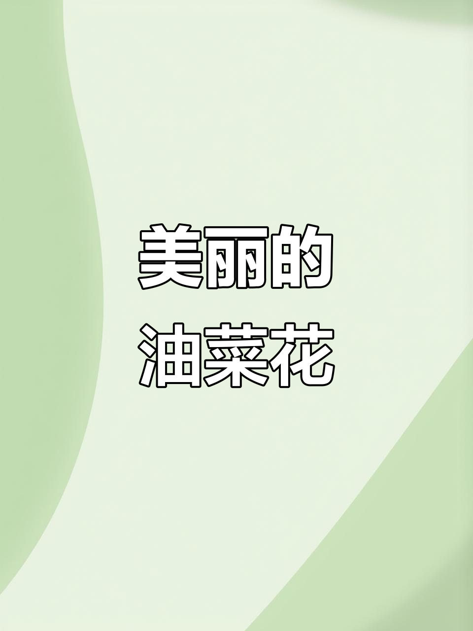 油菜花盛开,蜜蜂蝴蝶飞舞,春天的美丽景色
