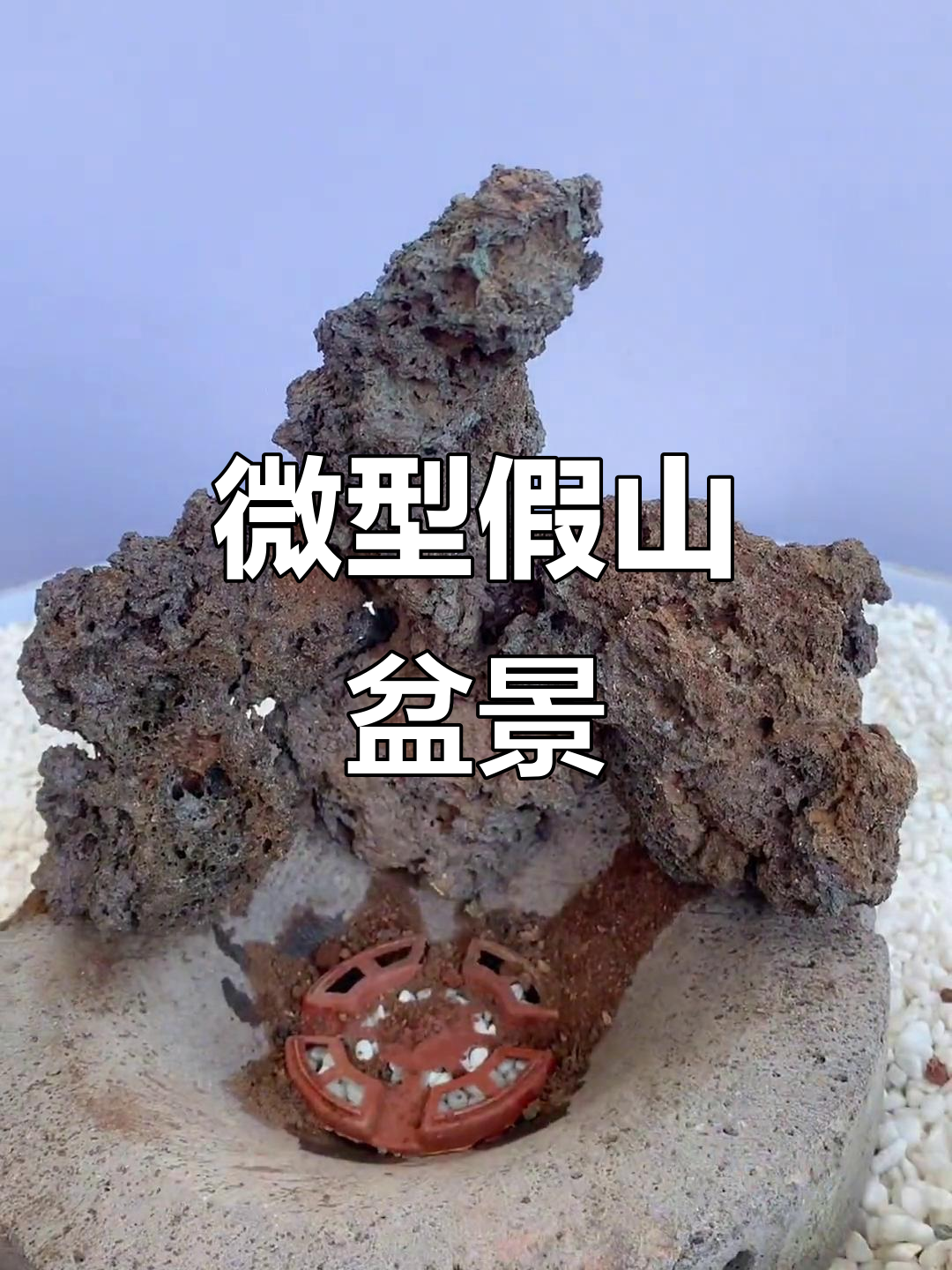 用火山石和小植物打造迷你假山,动手乐趣最重要